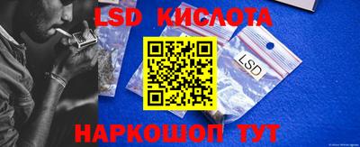 шишки Камышлов