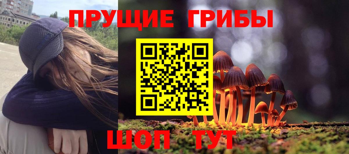 Псилоцибиновые грибы мухоморы Моршанск